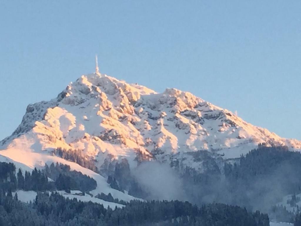 Dahoam By Tani Daire Oberndorf in Tirol Dış mekan fotoğraf